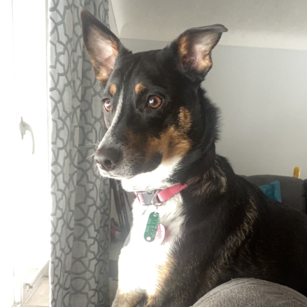 Meet your Posher, Erika